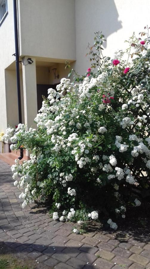 Villa Honoratka Z Prywatnym Polem Do Gry W Mini Golf Rewal Buitenkant foto