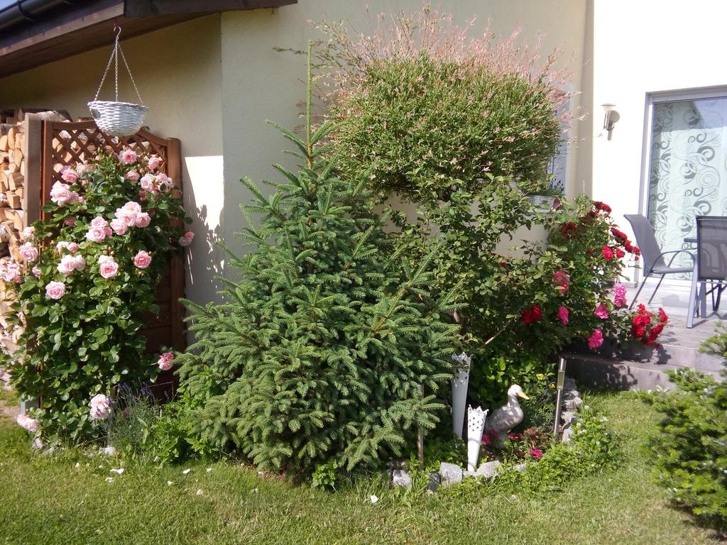 Villa Honoratka Z Prywatnym Polem Do Gry W Mini Golf Rewal Buitenkant foto