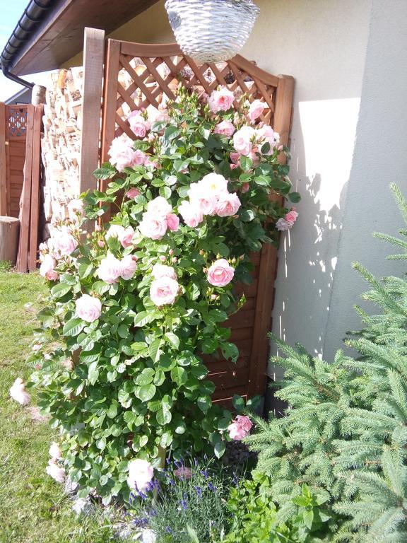 Villa Honoratka Z Prywatnym Polem Do Gry W Mini Golf Rewal Buitenkant foto